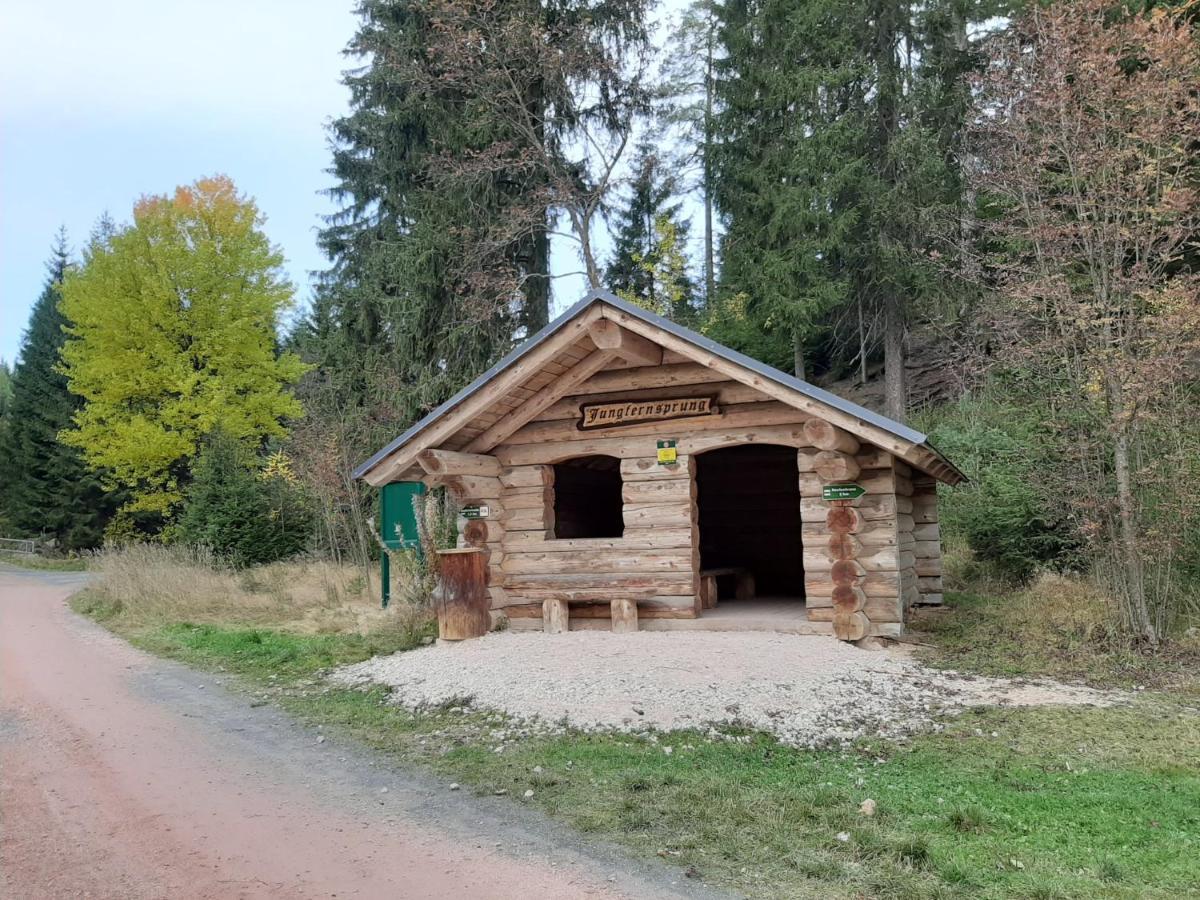 Pension & Fewo'S Talblick Weitersglashütte Exterior foto