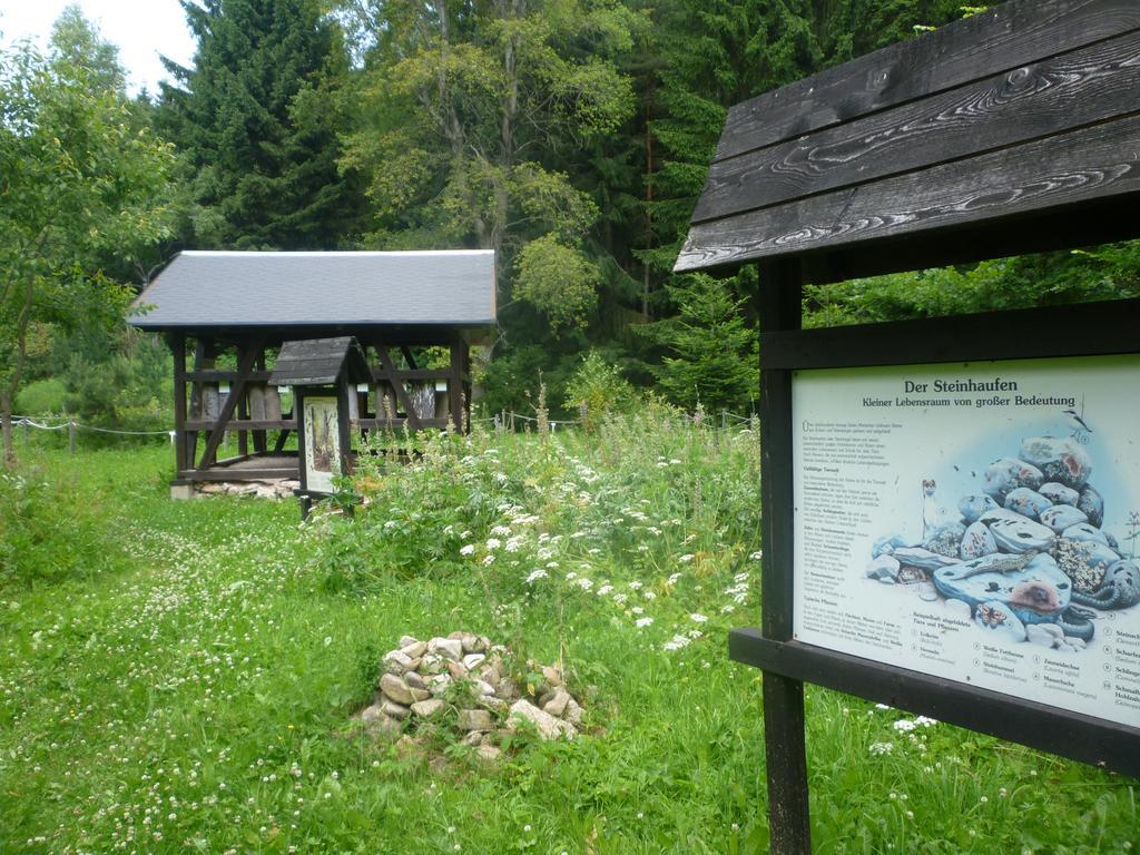 Hotel Pension & Fewo'S Talblick Weitersglashütte Exterior foto